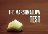 Teste do marshmallow
