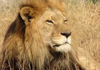 907992_lahore_wildlife_park